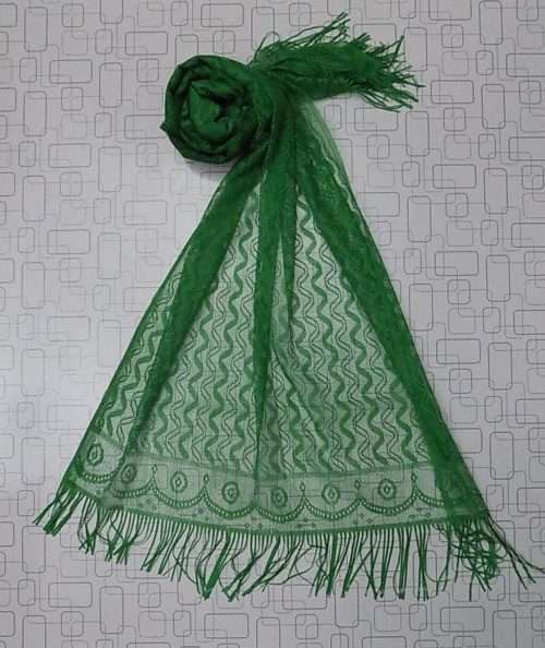 Parrot Green Narrow Net Stole For Everyday Use