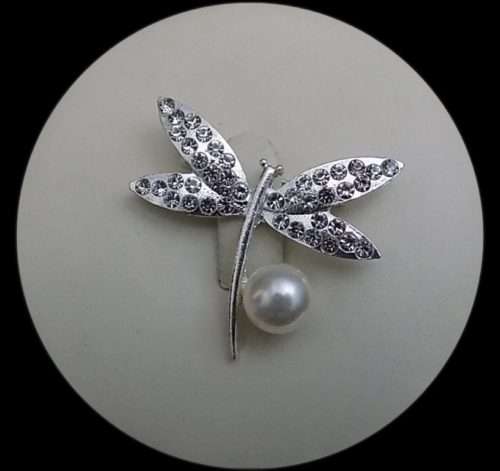 Cute In Silver & Golden Firefly Shaped Brooches 1 Cute In Silver & Golden Firefly Shaped Brooches. <a href="https://subrung.online/product-category/fashion/jewelry/for-ladies/" target="_blank" rel="noopener noreferrer">(More Ladies Jewelry)</a>