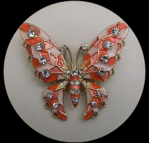 Large Butterfly Brooch In 7 Different Colour Combination 1 Large Butterfly Brooch In 7 Different Colour Combination. <a href="https://subrung.online/product-category/fashion/jewelry/for-ladies/" target="_blank" rel="noopener noreferrer">(More Ladies Jewelry)</a>