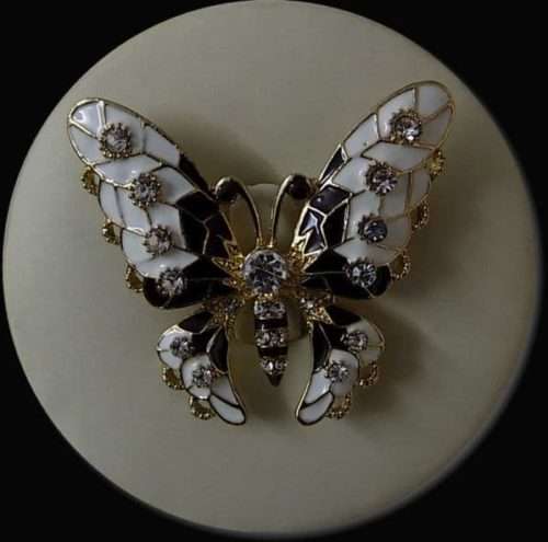 Large Butterfly Brooch In 7 Different Colour Combination 4 Large Butterfly Brooch In 7 Different Colour Combination. <a href="https://subrung.online/product-category/fashion/jewelry/for-ladies/" target="_blank" rel="noopener noreferrer">(More Ladies Jewelry)</a>