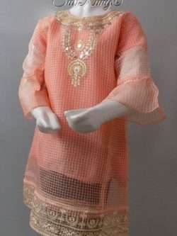 Elegant Embroidered Coral Pink Stitched Net Kurti 4 Young Girls