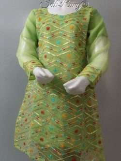 Party Wear Pistachio Green Stitched Net Kurti 4 Young Girls