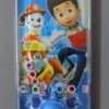 Durable High Quality Paw Patrol Water Game 4 Kids