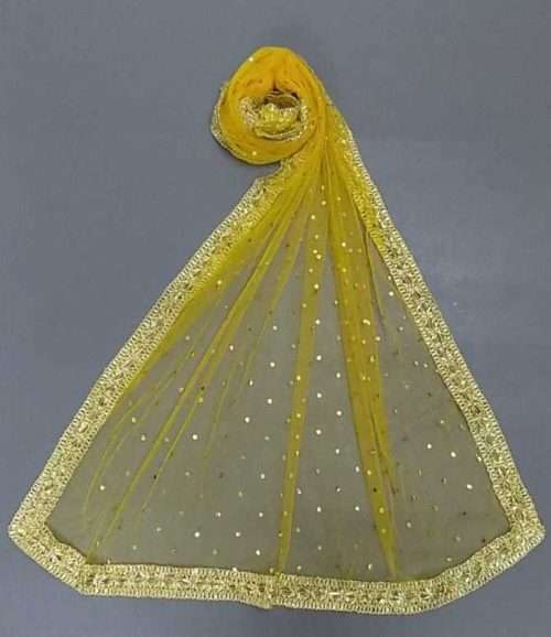 Fancy Net Dupatta With Golden Piping in Beautiful 6 Colours