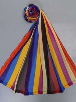 Vibrant Multi-Colour Striped Chiffon Net Dupatta Piping All Sides