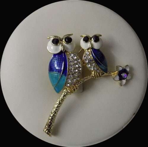 Mother Owl n Owlet Metallic Brooch In 3 Different Colours 2 Mother Owl n Owlet Metallic Brooch In 3 Different Colours . <a href="https://subrung.online/product-category/fashion/jewelry/for-ladies/" target="_blank" rel="noopener noreferrer">(More Ladies Jewelry)</a>