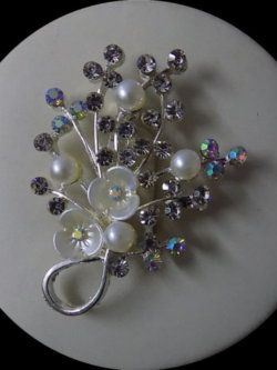 Cute n Dandy Looking With Shinning Beads Silver Brooch