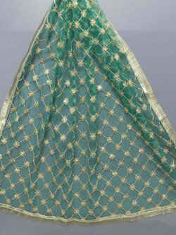 Beautiful Fancy Net Dupatta In Green Colour 72 x 36 Inches