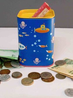 Cute Metallic Money Box- Coin Box- Rectangular Shape- 3×4